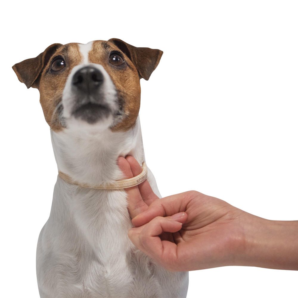 6.Kiltix small dog_treatment