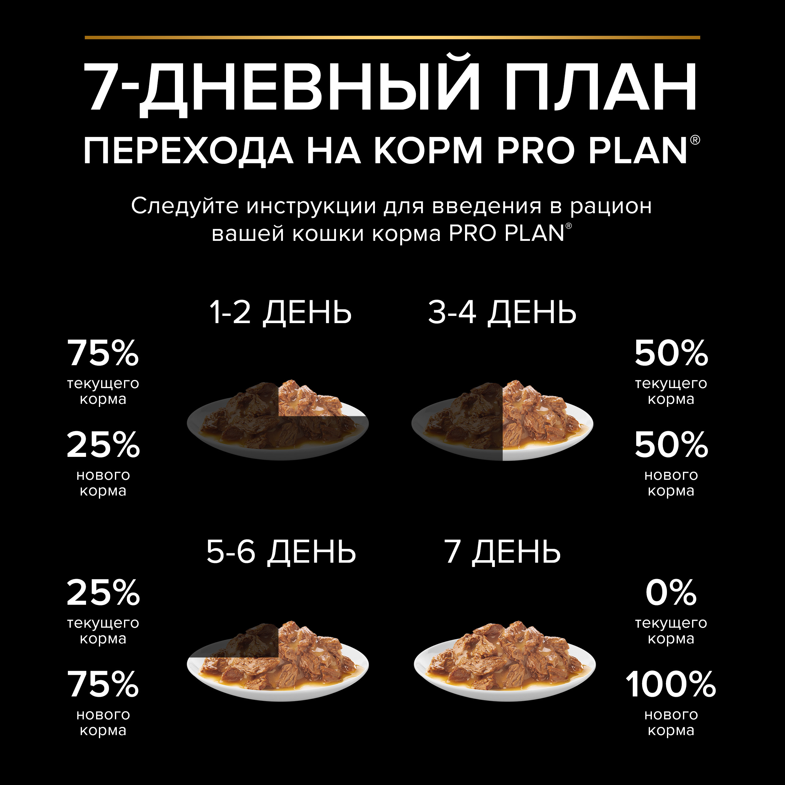 8445291203624_transition_ru
