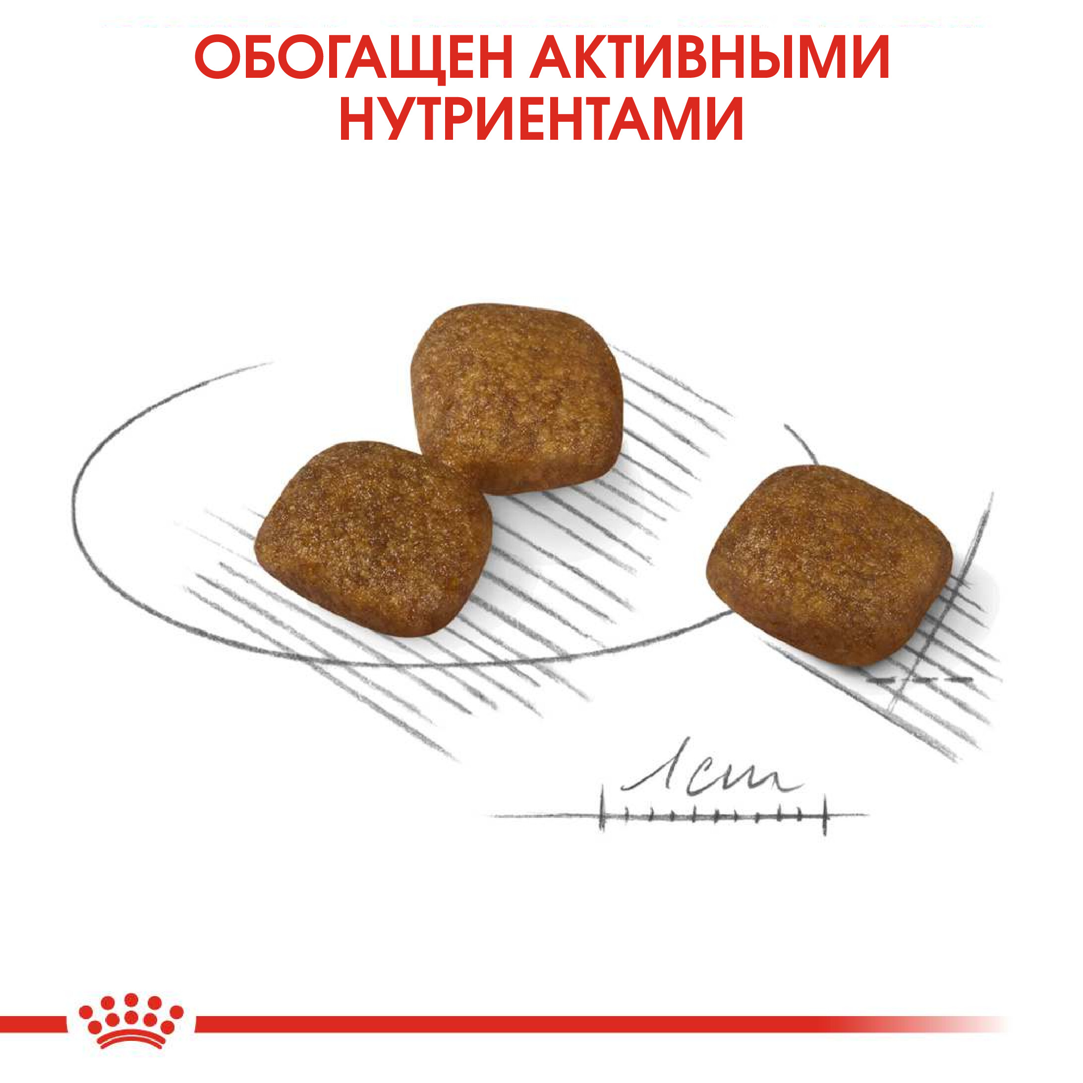 5_RC-CCN-CoatBeautyMini-CV-Eretailkit-4-pl_PL_Editable_Version_255576_rus