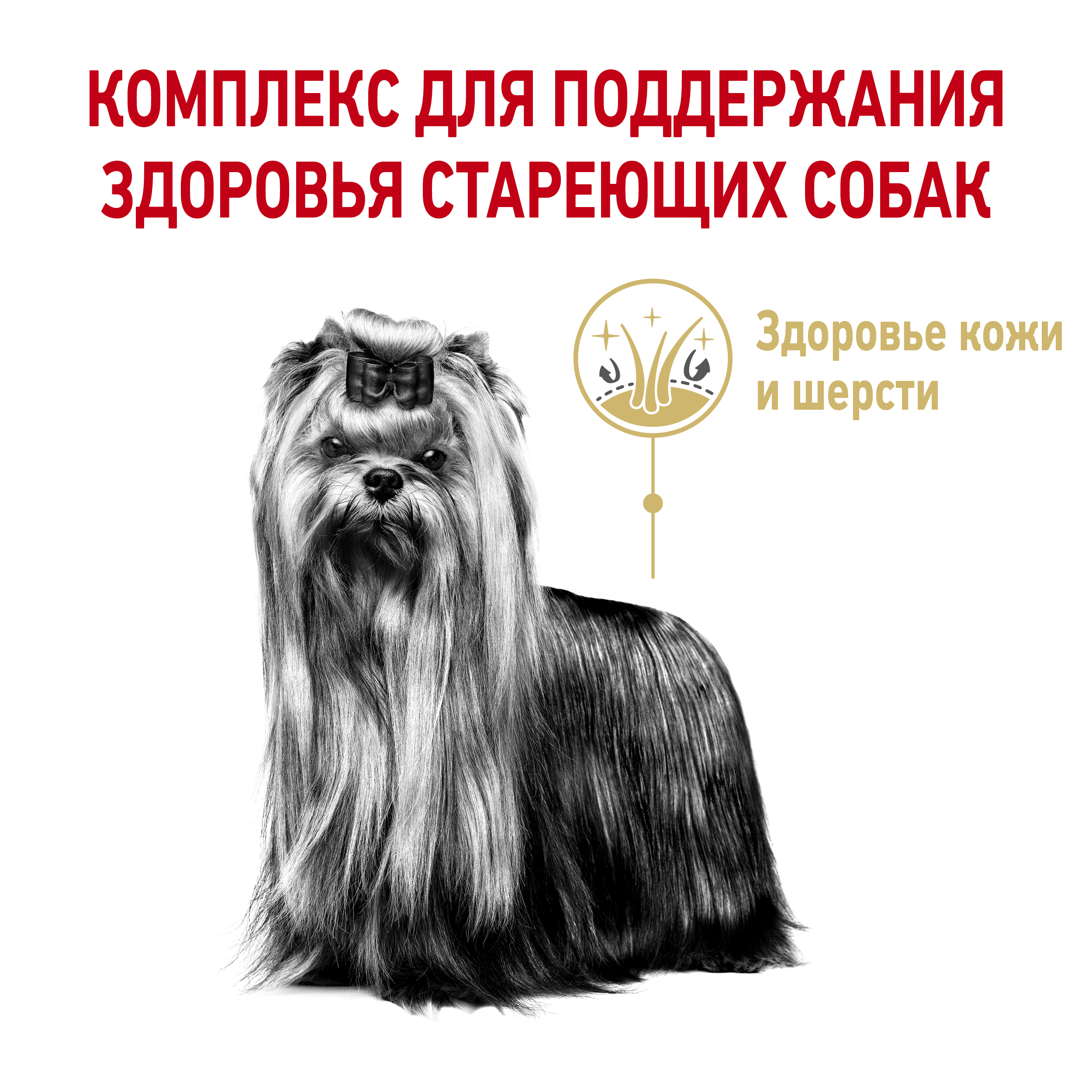 4_RC-SPT-DRY-York8_rus3