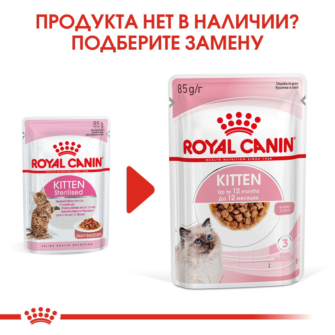 zamena_KITTEN STERILISED (соус)