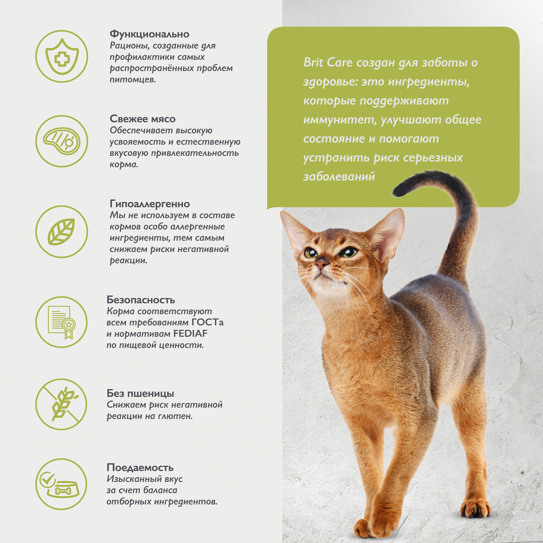 cat_indoor_stool_odour_reduction-03