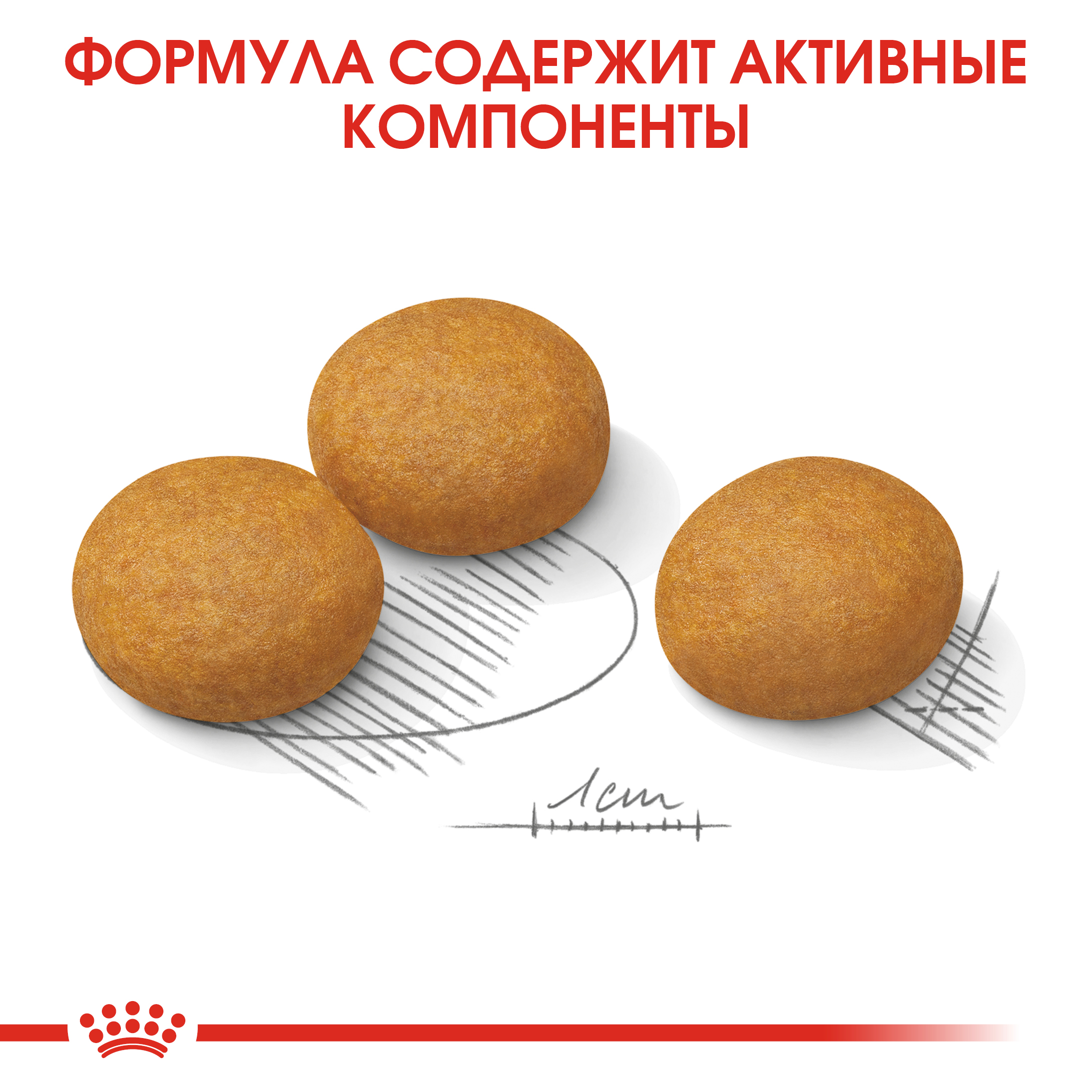 6_RC-CCN-DermaMax-CV-Eretailkit-5__ph
