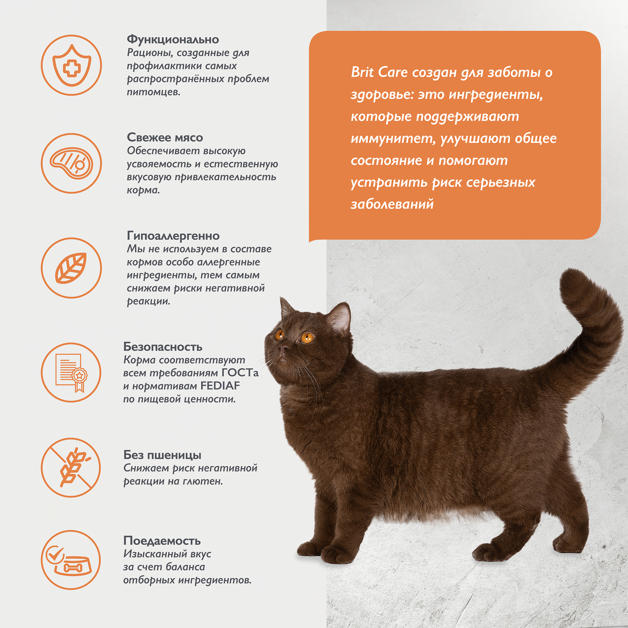 cat_sterilised_weight_control-03