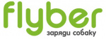Flyber