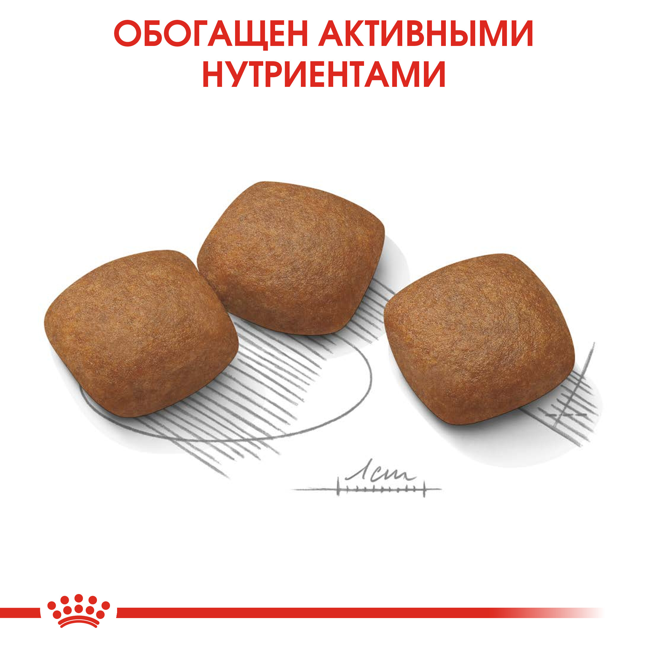 5_RC-CCN-JointCareMaxi-CV-Eretailkit-5__rus