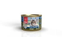 BСW11-1-00200 salmon