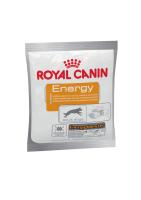 Royal Canin Energy