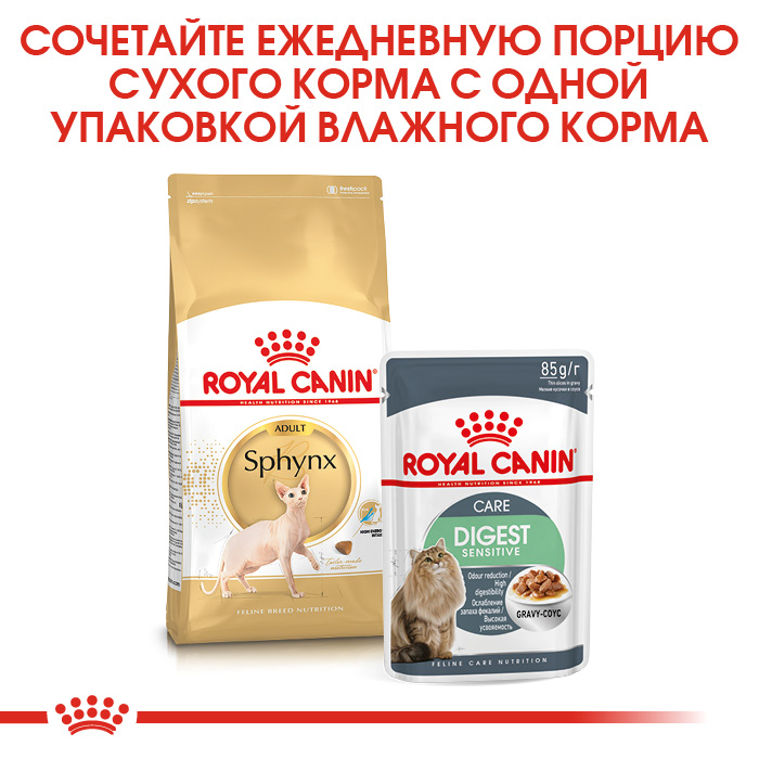4_HERO_Sphynx_Digest_2022