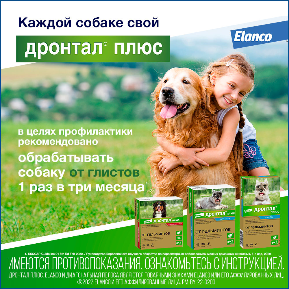 8. Drontal dog_recom (1)