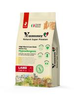 Yummy_kitten_lamb_2