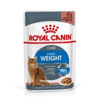 RC-SPT-WET-LightWeightGravy_rus2