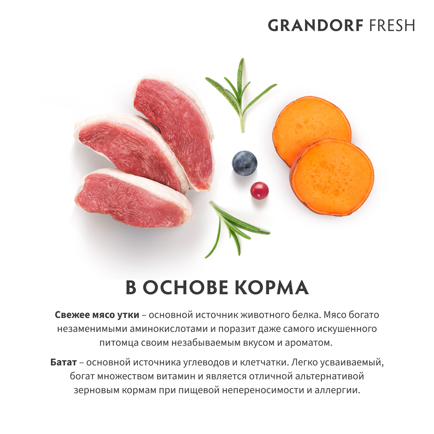 2 в основе корма утка