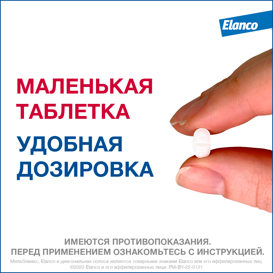 6. Milbemax_small dogs_rich_6_tablet