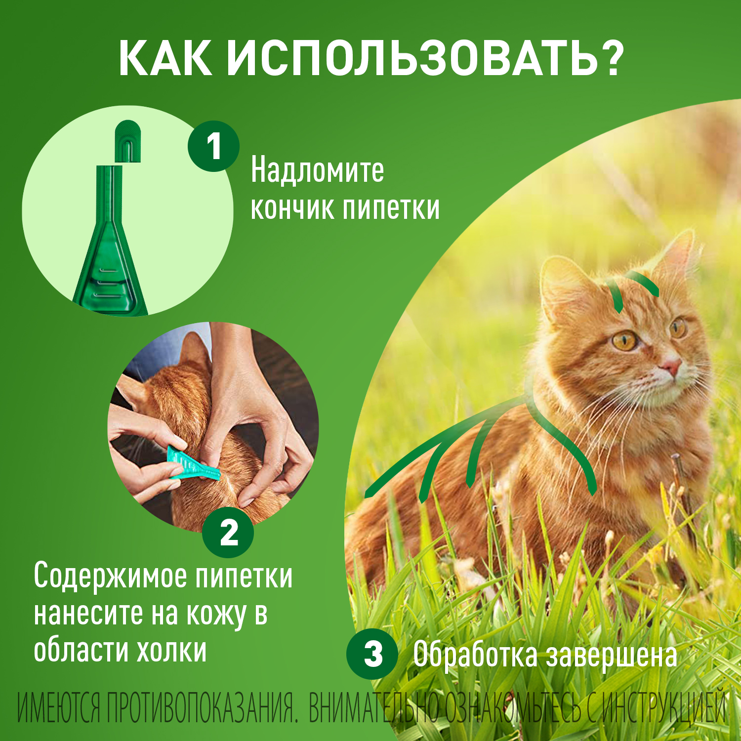 FCombo cats.gall 2