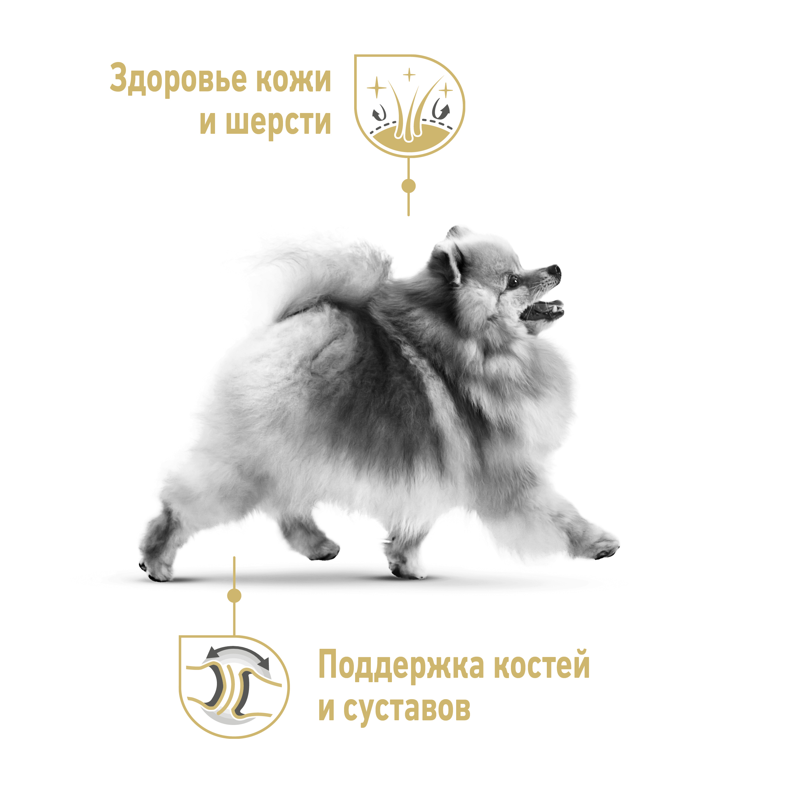 5_RC-SPT-DRY-PomAD_rus3