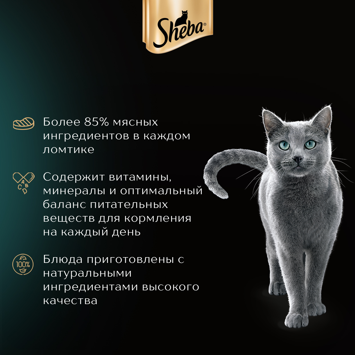Sheba влажный корм для кошек, ломтики в соусе с говядиной (28шт в уп) / 75 гр