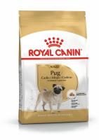 ad-pug-packshot-bhn18