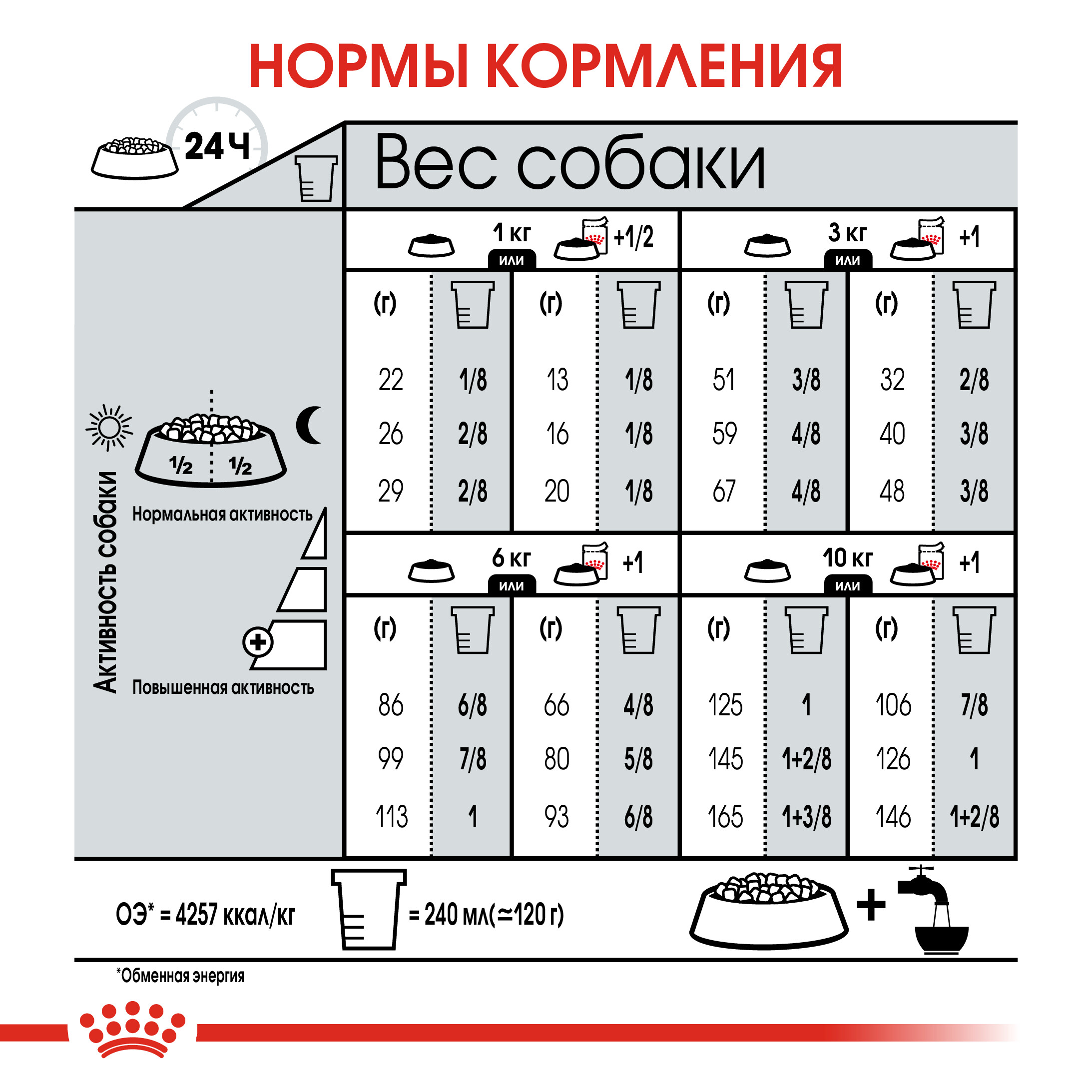 6_RC-CCN-DigestiveMini-CV-Eretailkit-7__rus