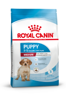 2m puppy (1)