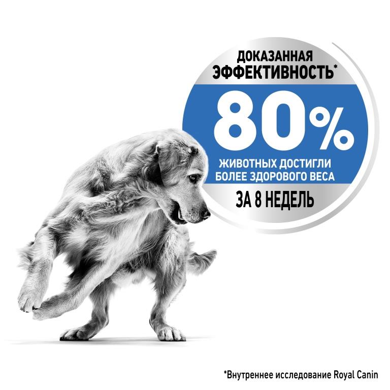 RC-SPT-DRY-LightWeightMED_rus4