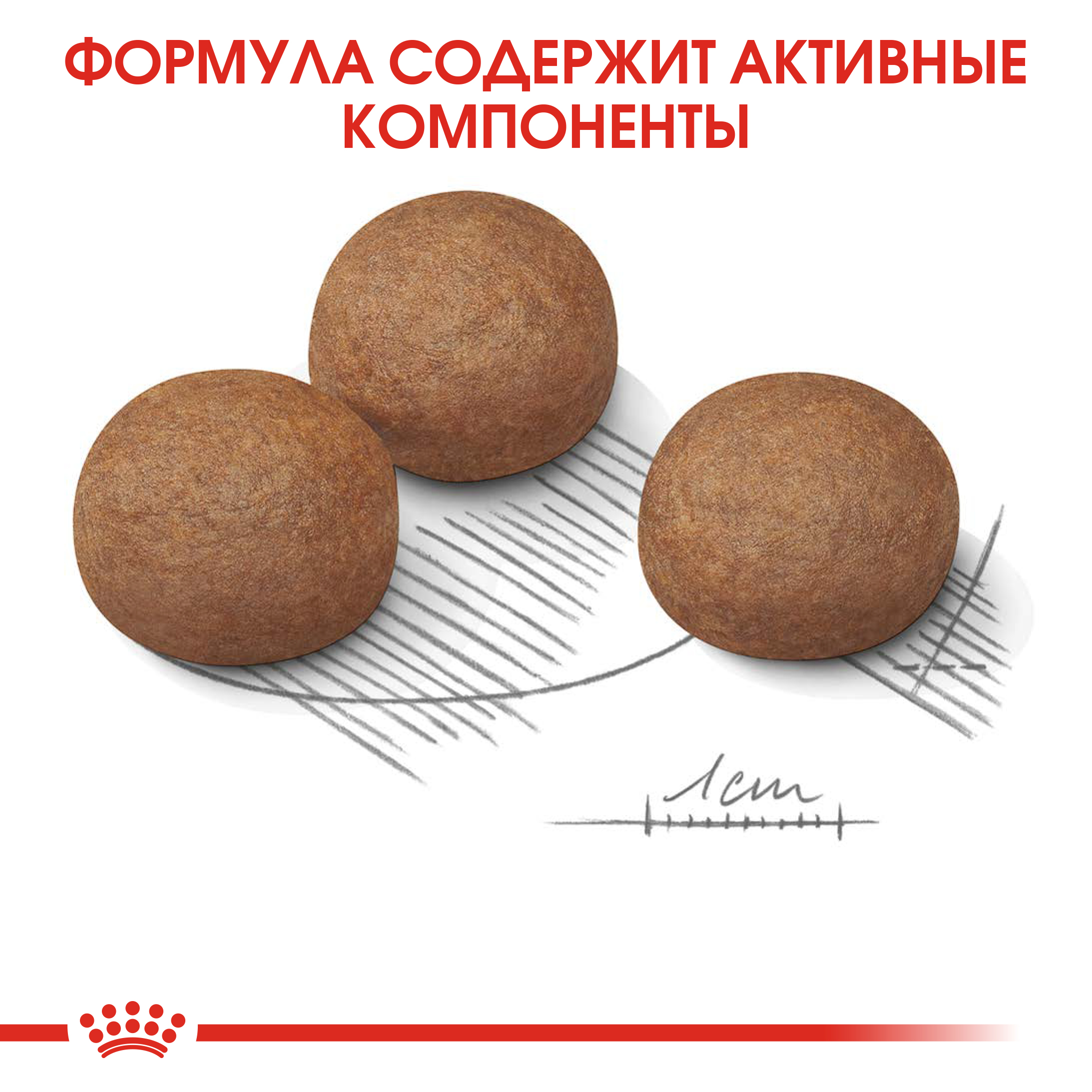 5_RC-CCN-DigestiveMaxi-CV-Eretailkit-5__ph