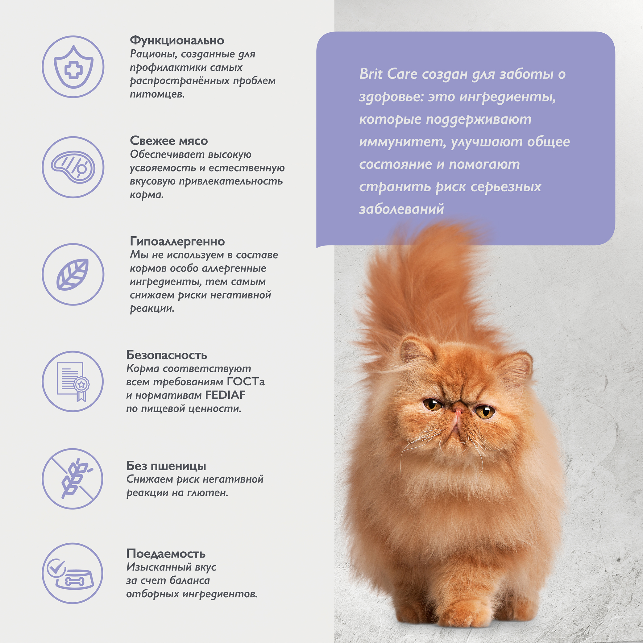 cat_anti_hariball (3)