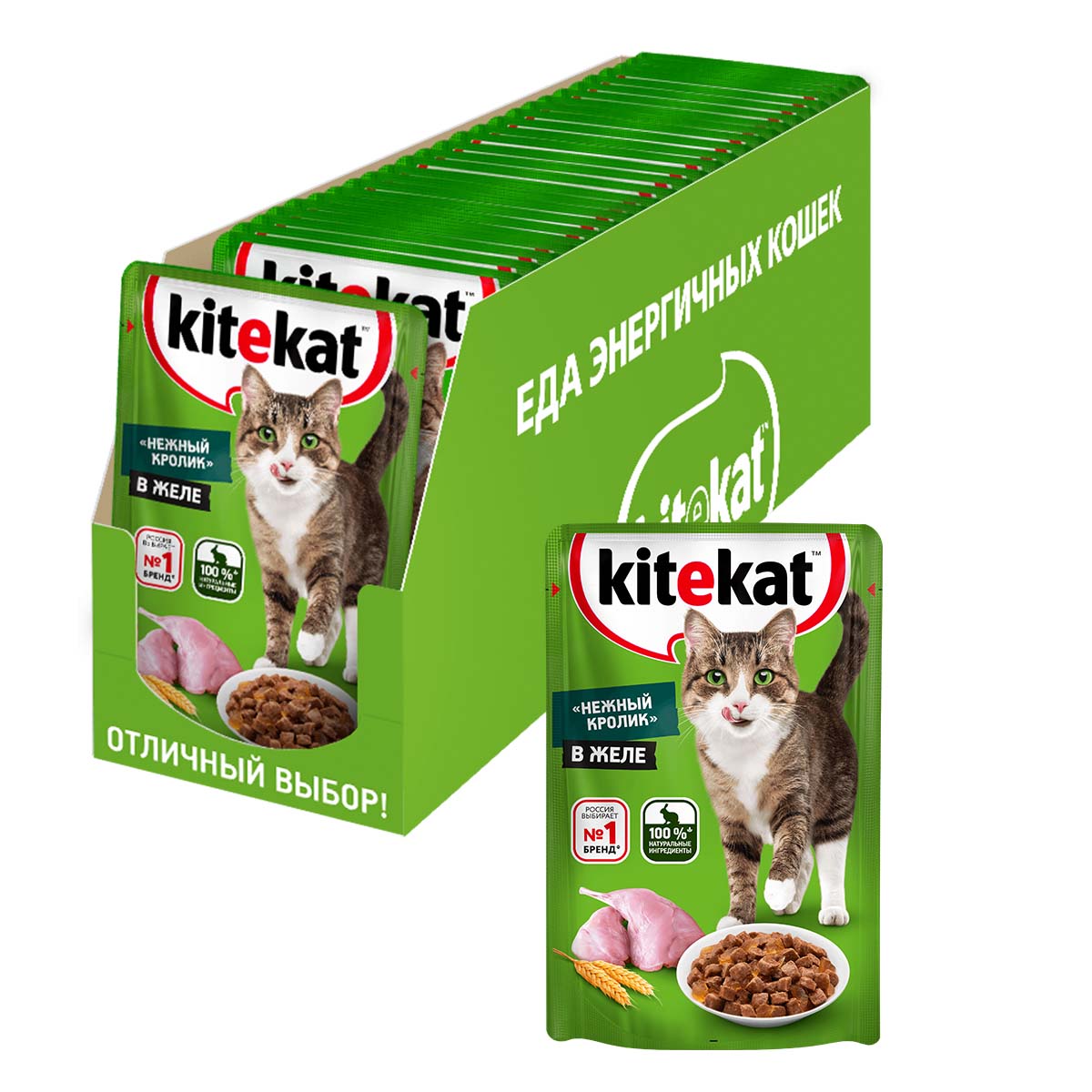 KEK_CIJ_Rabbit_Case