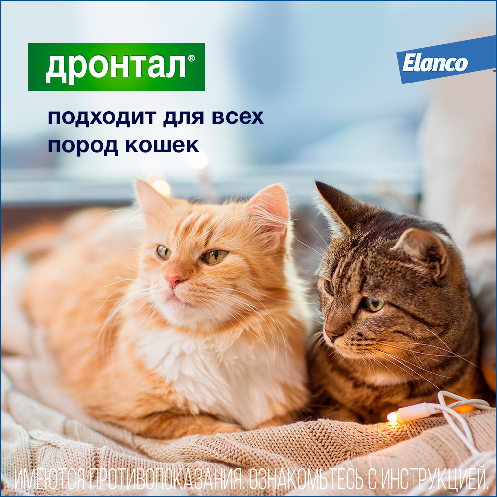 5. Drontal cat_all