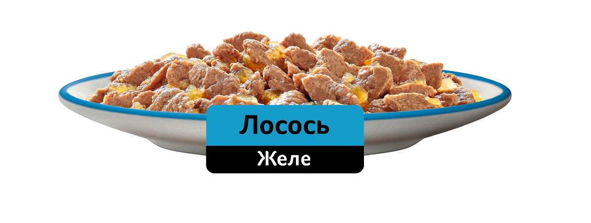 Whiskas влажный корм для кошек, желе с лососем (28шт в уп) / 75 гр