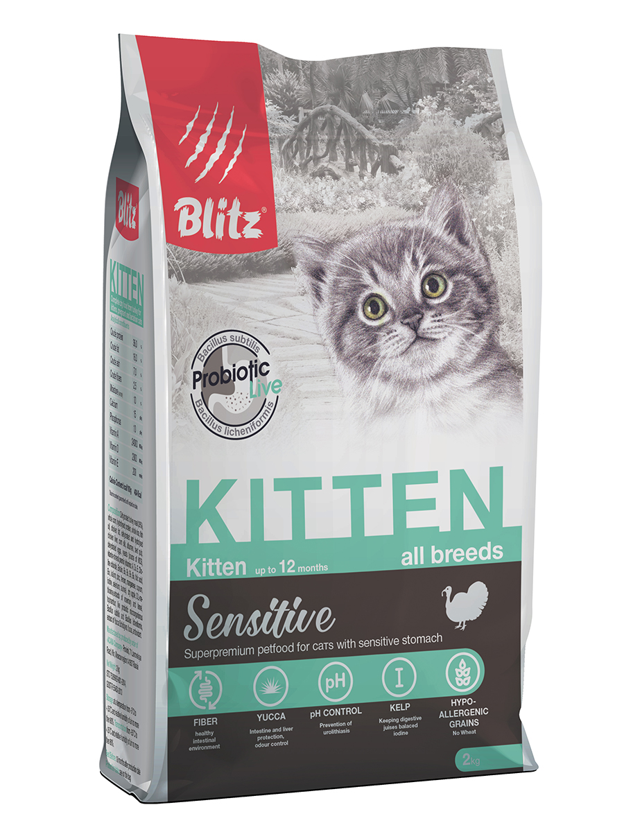 BCD04-2-02000 Kitten 2kg-face
