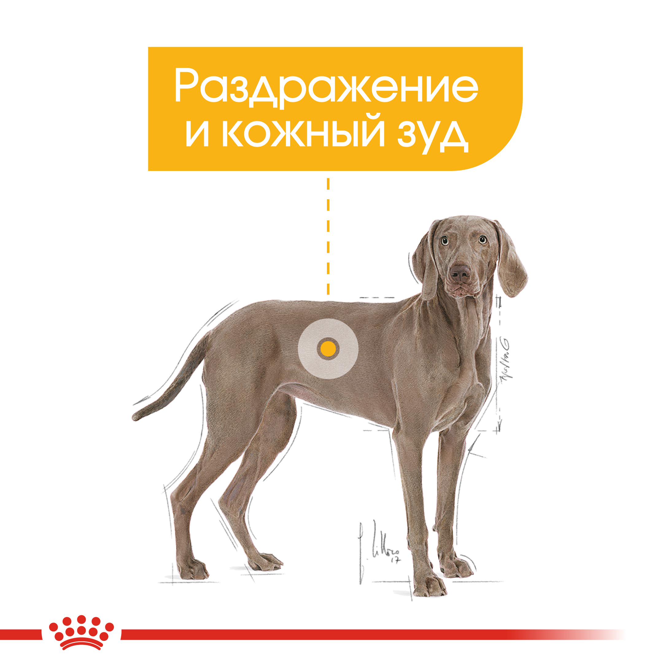 4_RC-CCN-DermaMax-CV-Eretailkit-2__ph