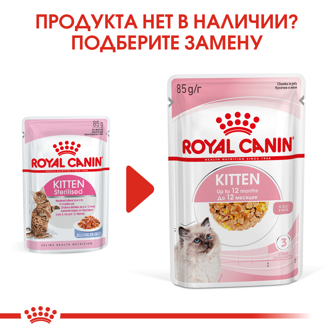 zamena_KITTEN STERILISED (желе)