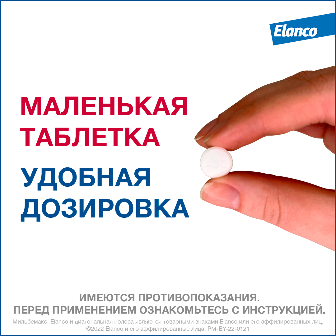 16. Milbemax_big dogs_rich_6_tablet