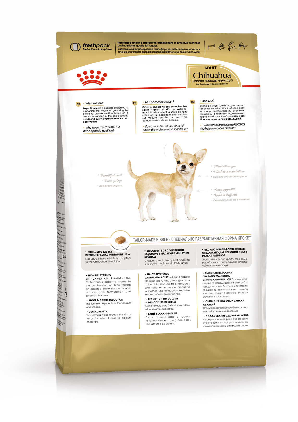 K_Chihuahua Adult_back