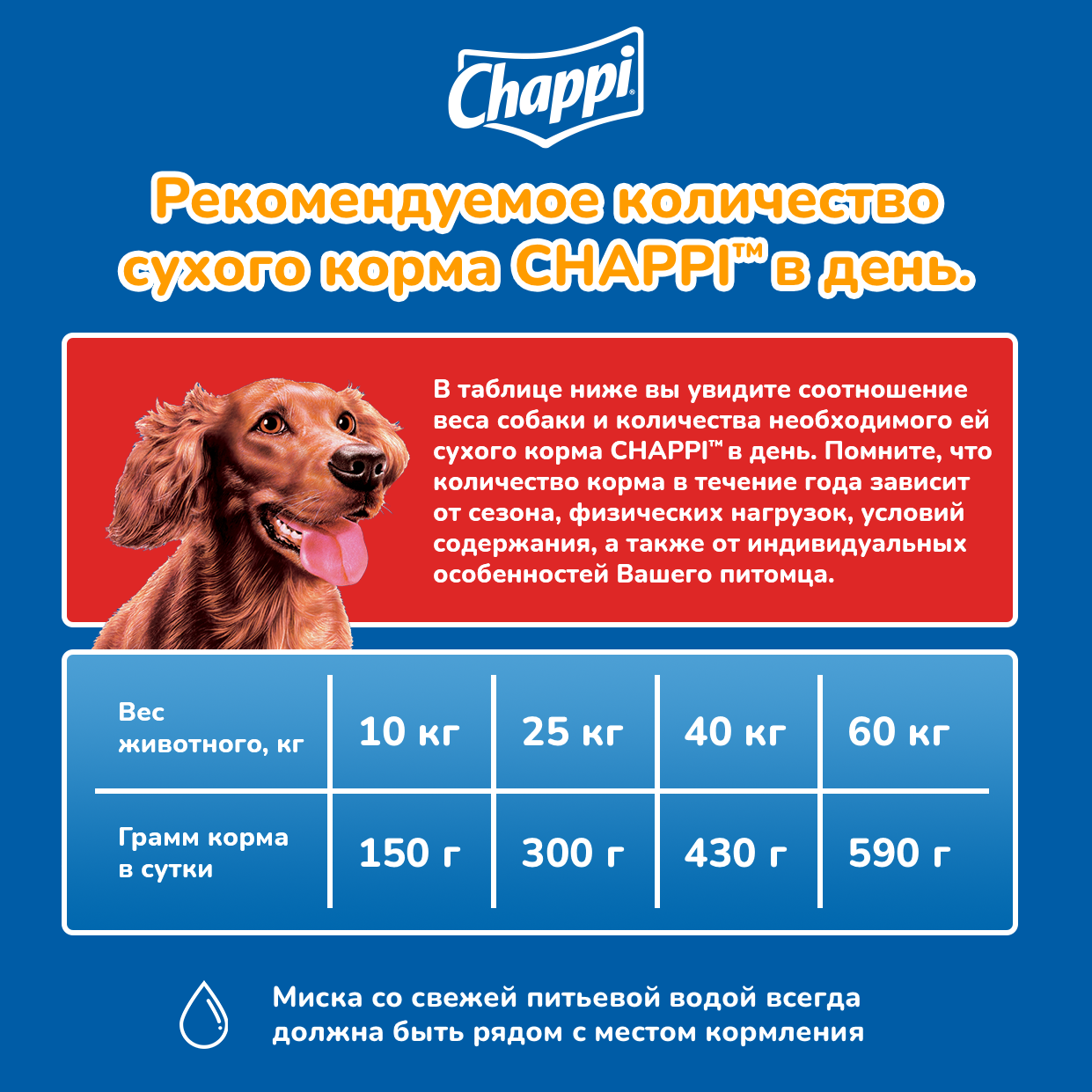 Chappi корм для взрослых собак всех пород, говядина по-домашнему / 600 гр