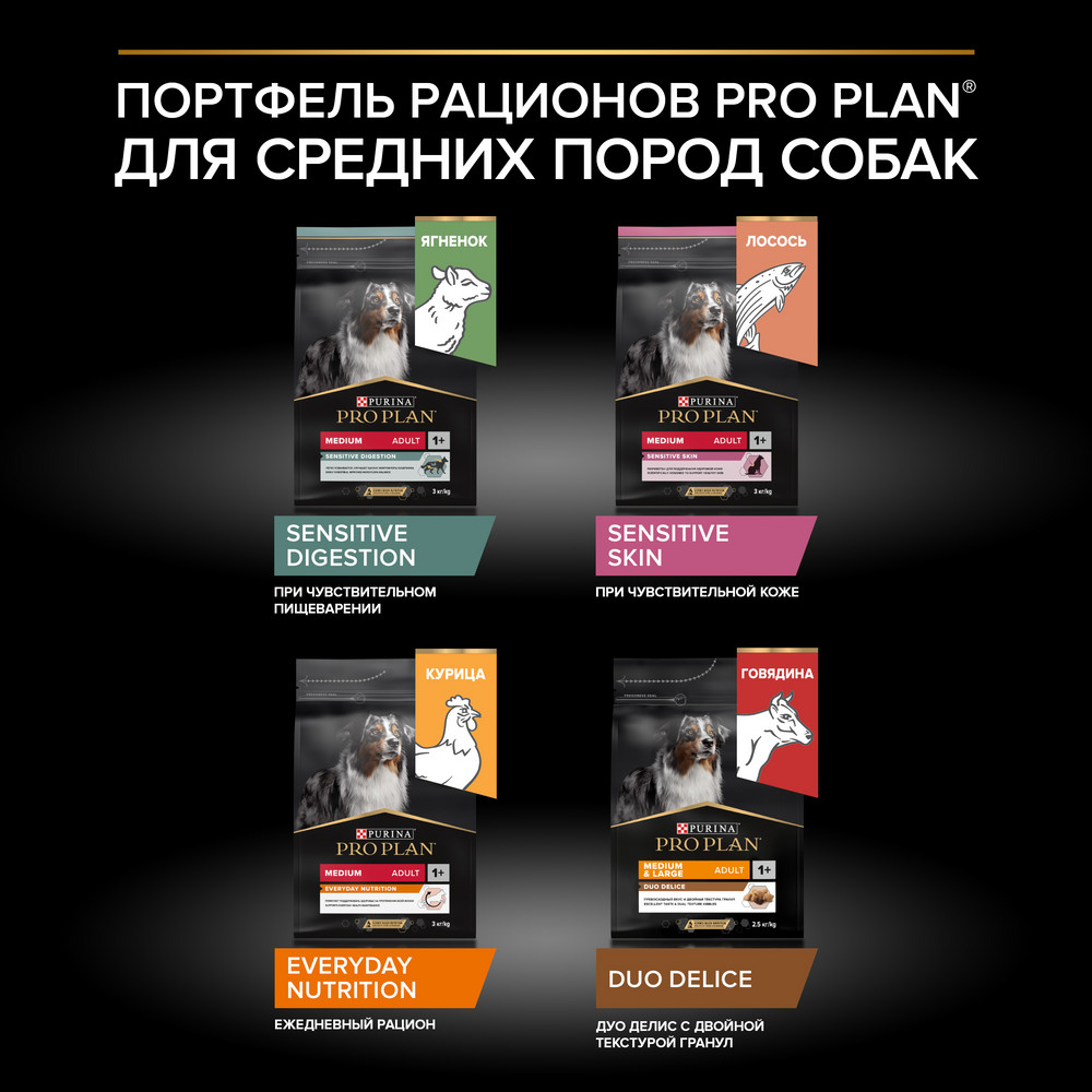6b08b941-4f76-4e51-baf9-e10ea59f6079