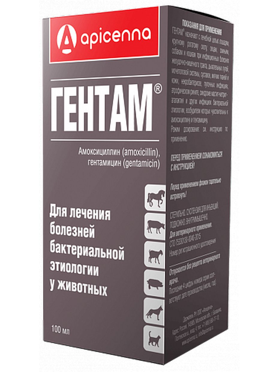 Apicenna Гентам лечение инфекционных заболеваний (100 мл)