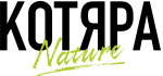 Котяра