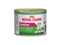 J_Junior