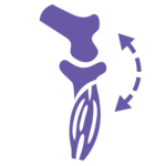 Eukanuba_-_Puppy_Global_Toolkit_-_Icon_Body_Editable_Version_478671-150x150.png