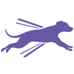 Eukanuba_-_Puppy_Global_Toolkit_-_Icon_Energy_Editable_Version_478676-150x150.png