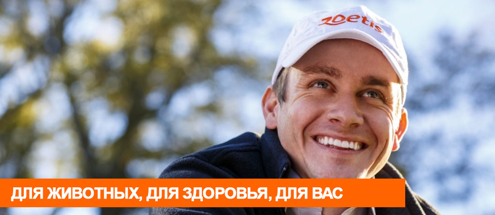 Zoetis banner.jpg