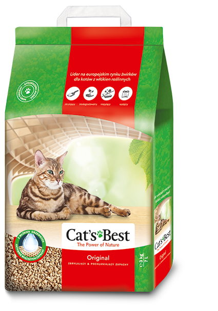 Cat's_Best.jpg