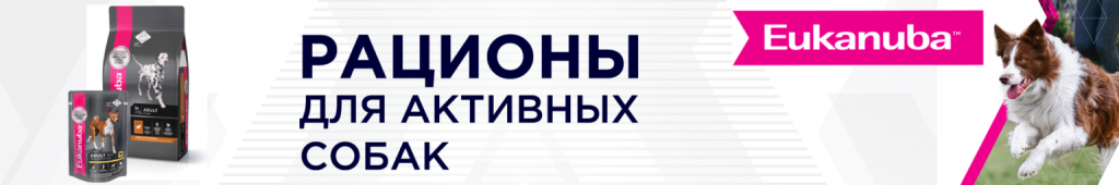1920х320_11-1536x256.png