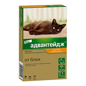 Elanco Адвантейдж капли для котят и кошек до 4 кг, от блох, вшей, власоедов